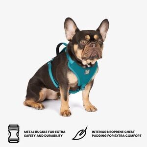 Nandog Pet Gear Neoprene Sport Dog Harness - Blue Size : S